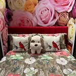 Ohana Apartament *