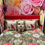 Ohana Appartement Tirana