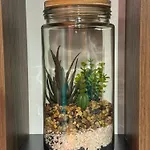 Apartament Ohana
