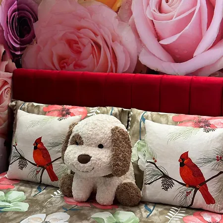 Ohana Apartamento