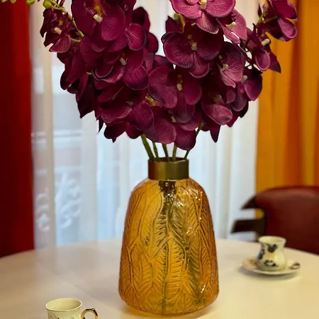 Ohana 아파트 티라나