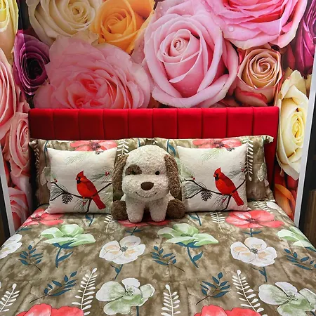 Ohana 아파트 티라나