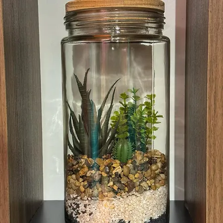Apartment Ohana
