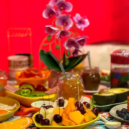 Ohana 아파트 티라나