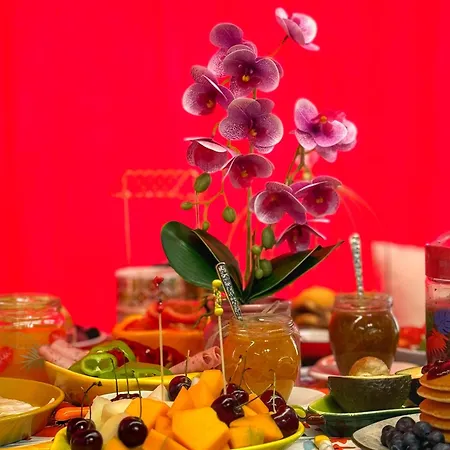 아파트 Ohana 티라나