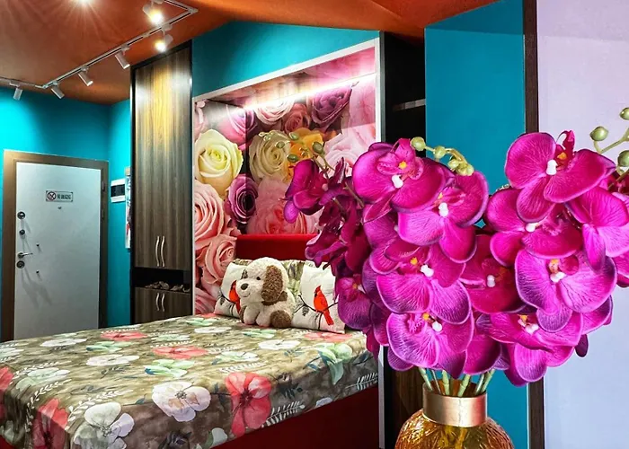 Ohana Tirana