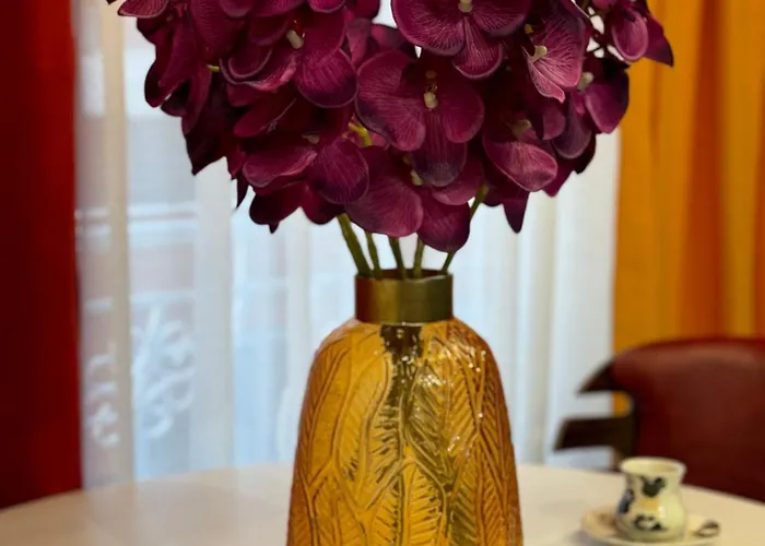 Ohana Apartment Tirana